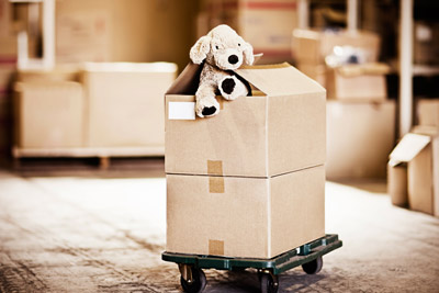 toys and miscellaneous items